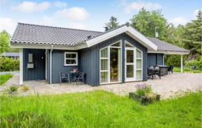 Pet Friendly Home In Ålbæk With Sauna, Ålbæk